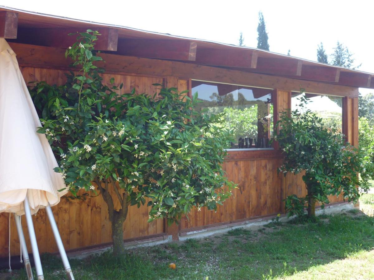 Il Frutteto Bed & Breakfast Torre delle Stelle Exterior photo